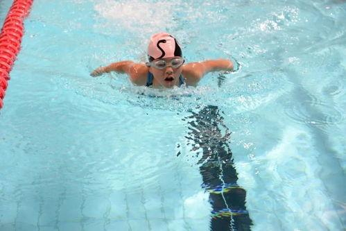 游泳在线观看 第3张 游泳在线观看 第3张